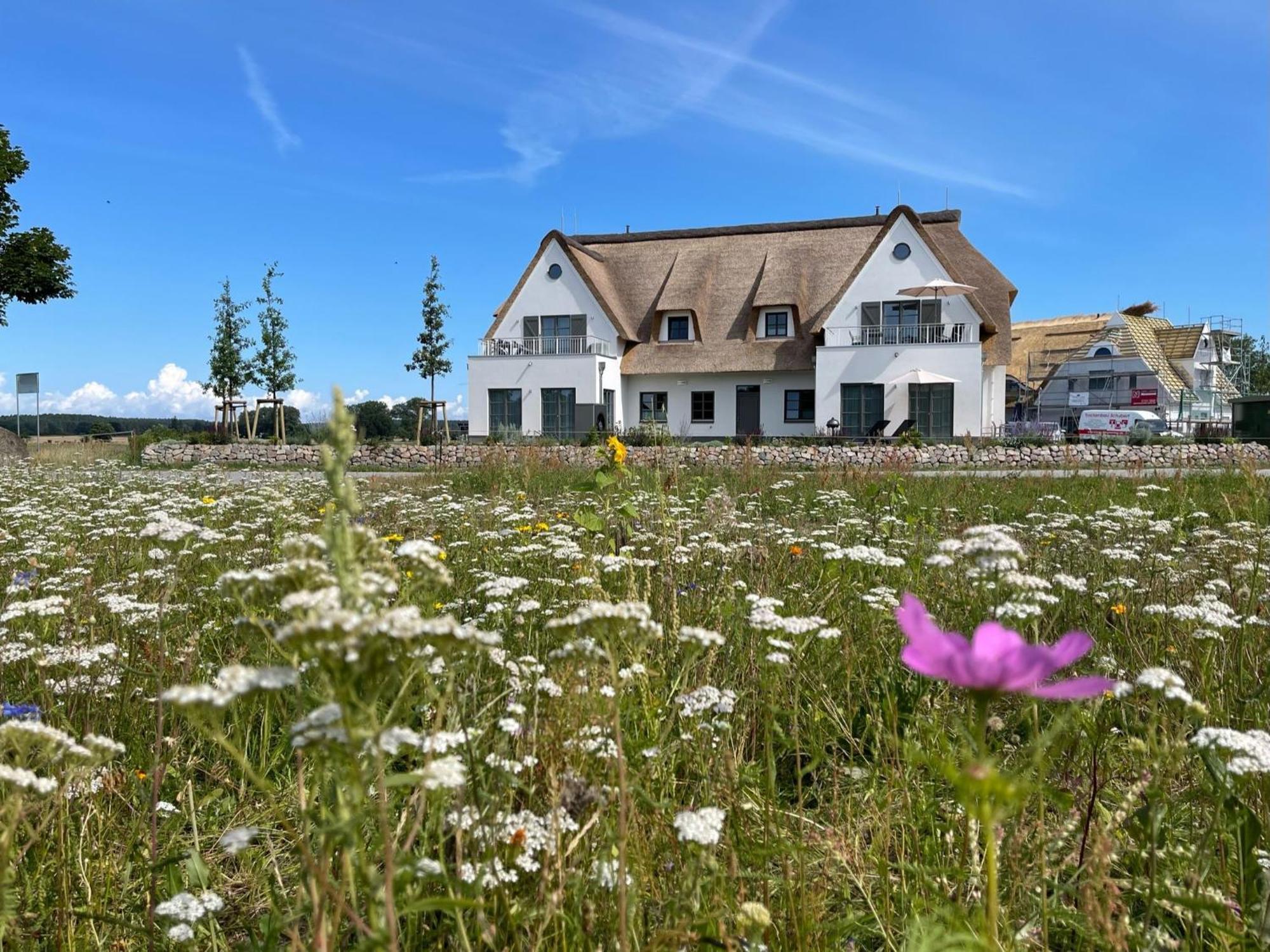 Stolpe auf Usedom Inseldomizil Stolpe - Urlaub Unter Reet Auf Usedomヴィラ エクステリア 写真